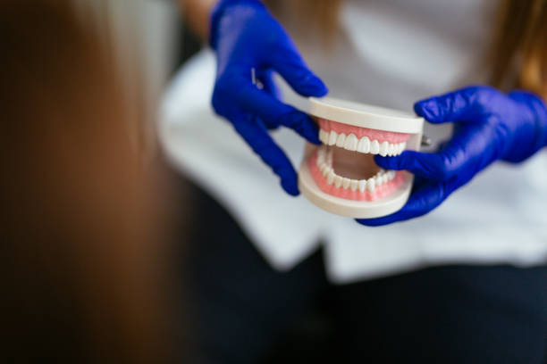  Groveland, FL Dental Services Pros